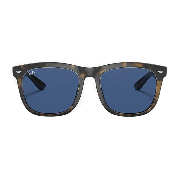 RayBan Sunglasses 0RB4260D 710/80 